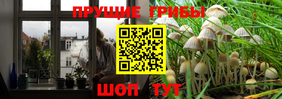 Галлюциногенные грибы Magic Shrooms  Псилоцибиновые грибы прущие грибы  Вход с VPN  Краснокаменск 